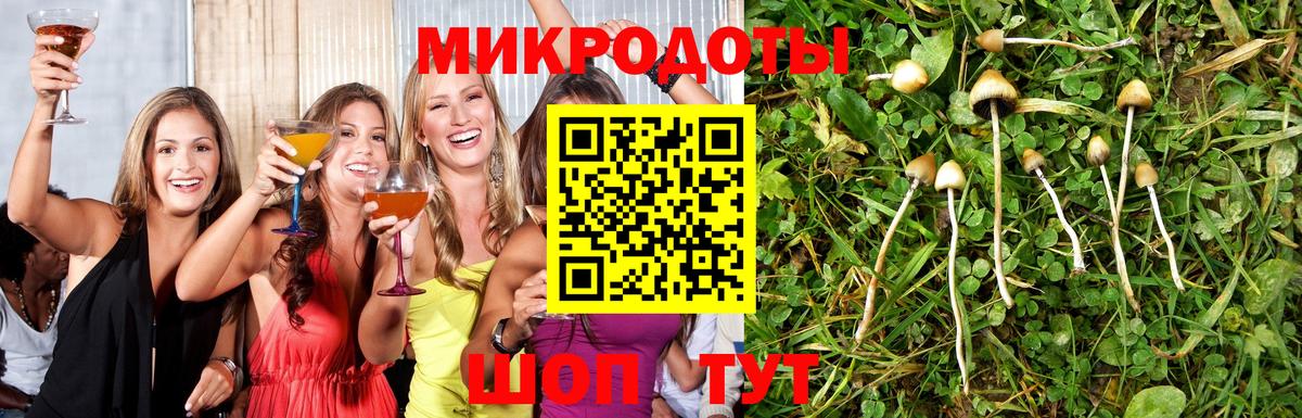 Ишим  Галлюциногенные грибы GOLDEN TEACHER  где купить наркотик  Вход с VPN 